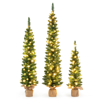 Set of 3 pre-lit artificial Christmas trees with warm white LEDs, burlap-wrapped bases on Tampa Home & Garden Store