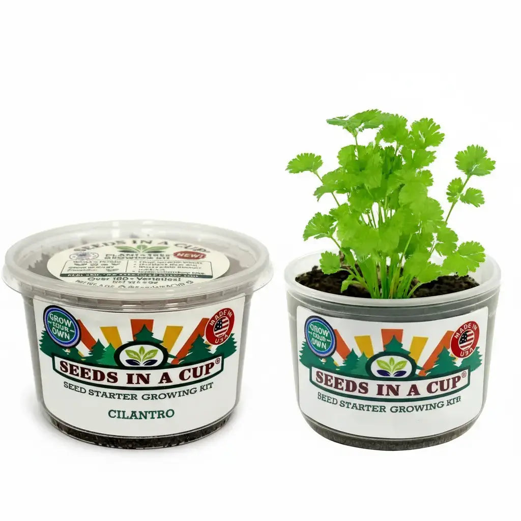 Cilantro Grow Kit - Tampa Home & Garden Store