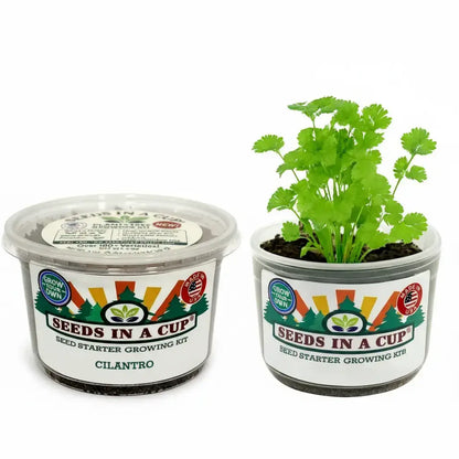 Cilantro Grow Kit - Tampa Home & Garden Store