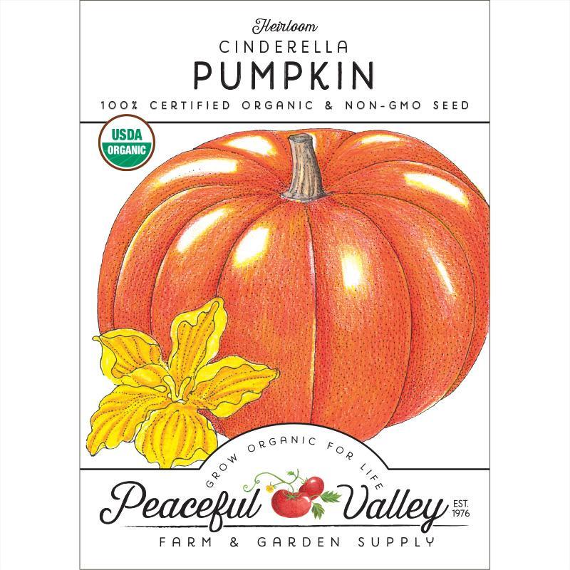 Cinderella Pumpkin Seeds (Organic) - Tampa Home & Garden Store