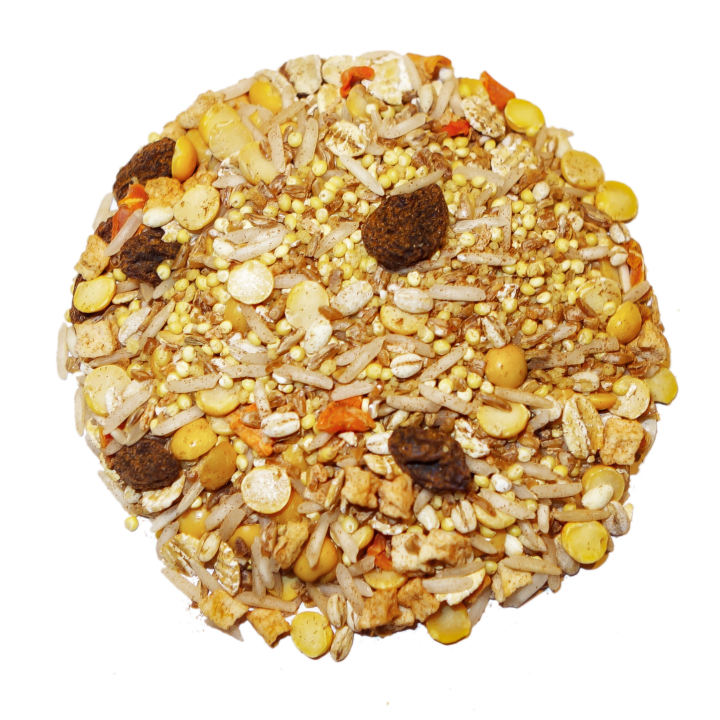 Cinnaspice Delight - Tampa Home & Garden Store