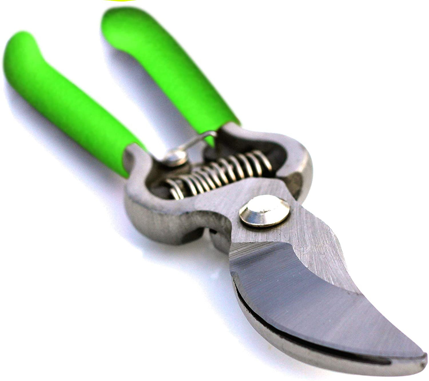 Classic Bypass Pruning Shears Clippers (Green) - Tampa Home & Garden Store