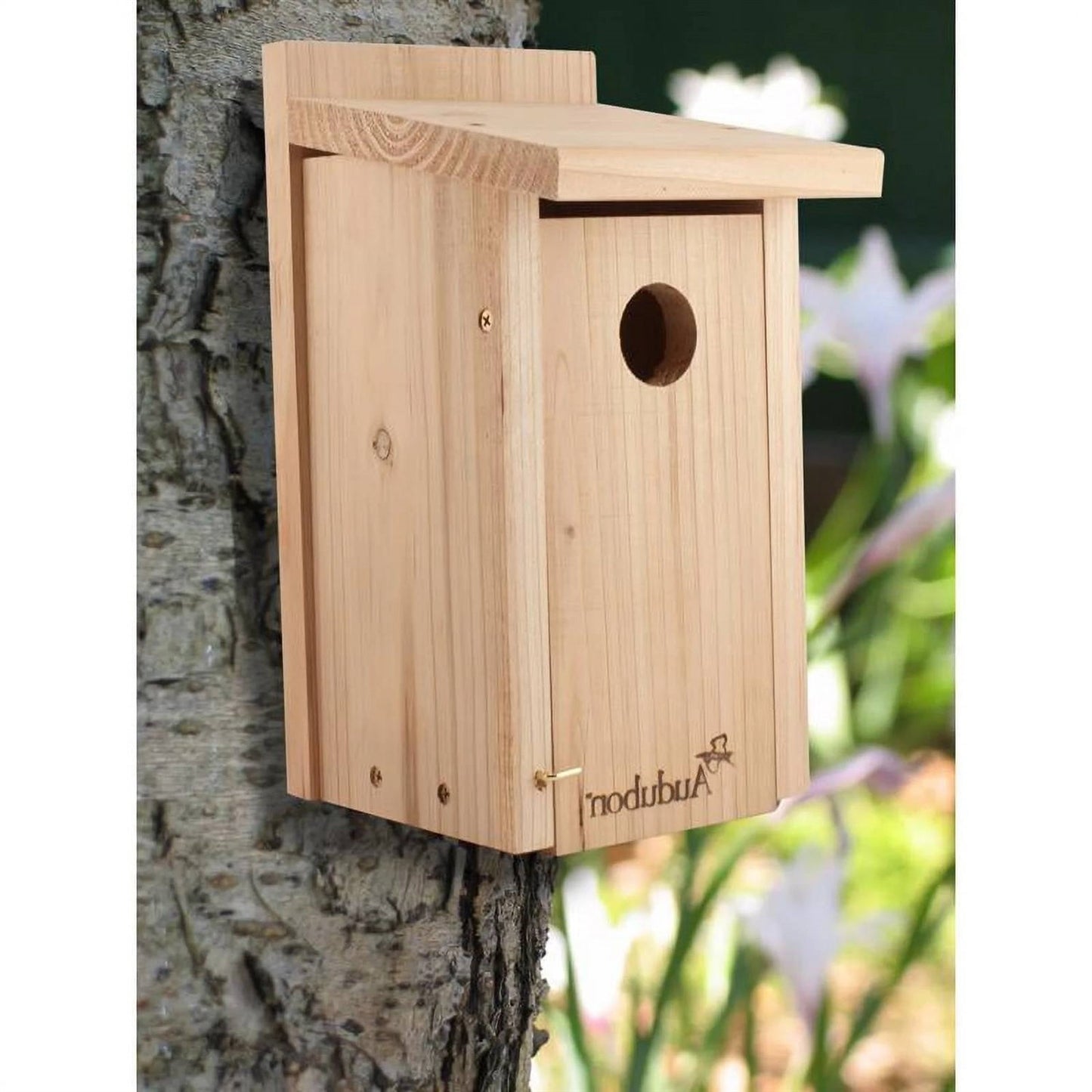 Classic Cedar Wood Bluebird Bird House - Tampa Home & Garden Store