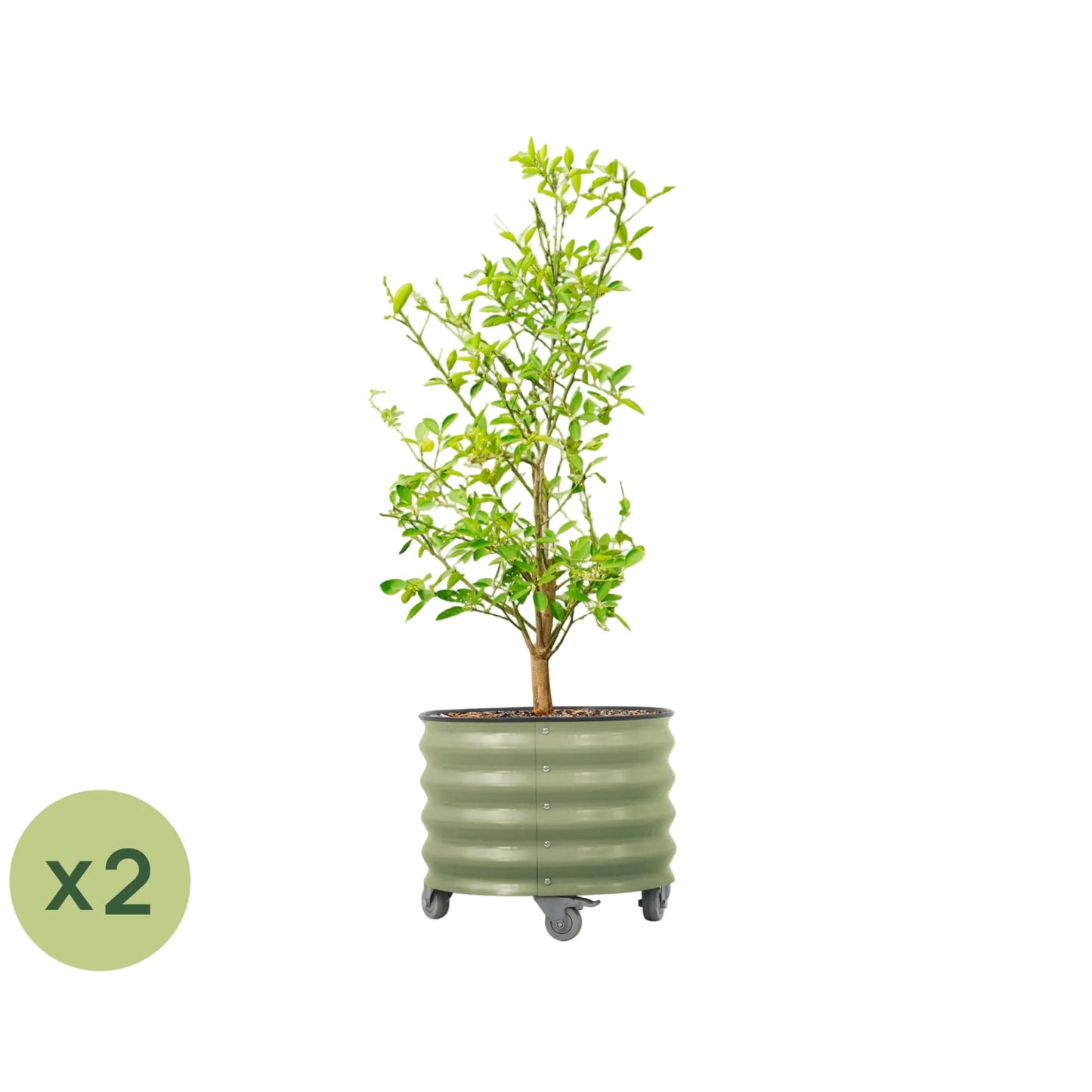 Vego Classic Rolling Planter 2 Pack (20 Gallon) - Tampa Home & Garden Store