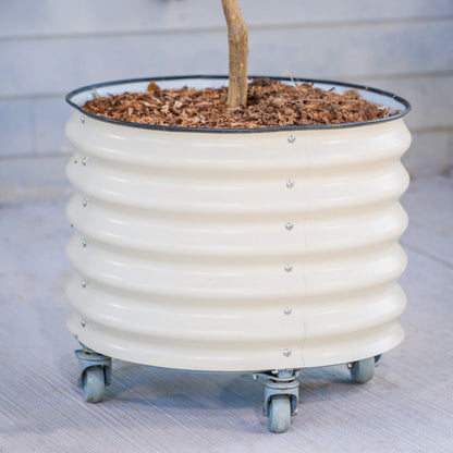 Classic Rolling Citrus Tree Planter - 20 Gallon - Tampa Home & Garden Store