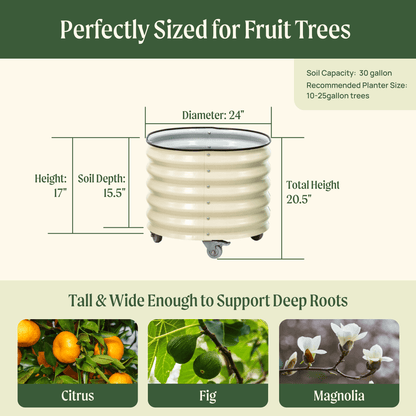 Classic Rolling Citrus Tree Planter - 45 Gallon - Tampa Home & Garden Store
