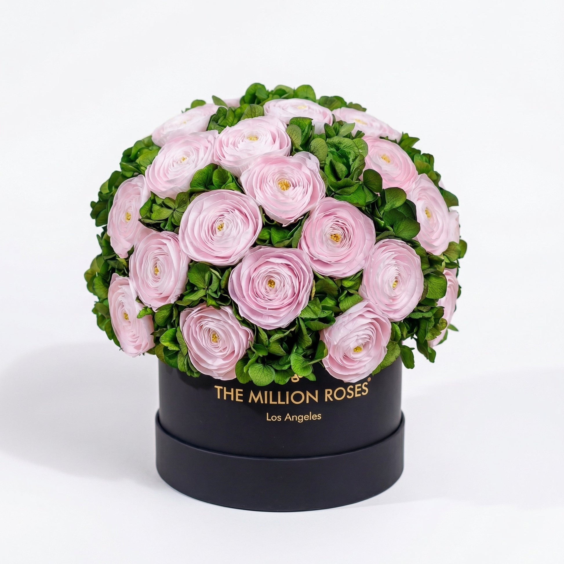 Classic Black Box bouquet with pink buttercups and green hydrangeas in a Million Roses box on Tampa Home & Garden Store