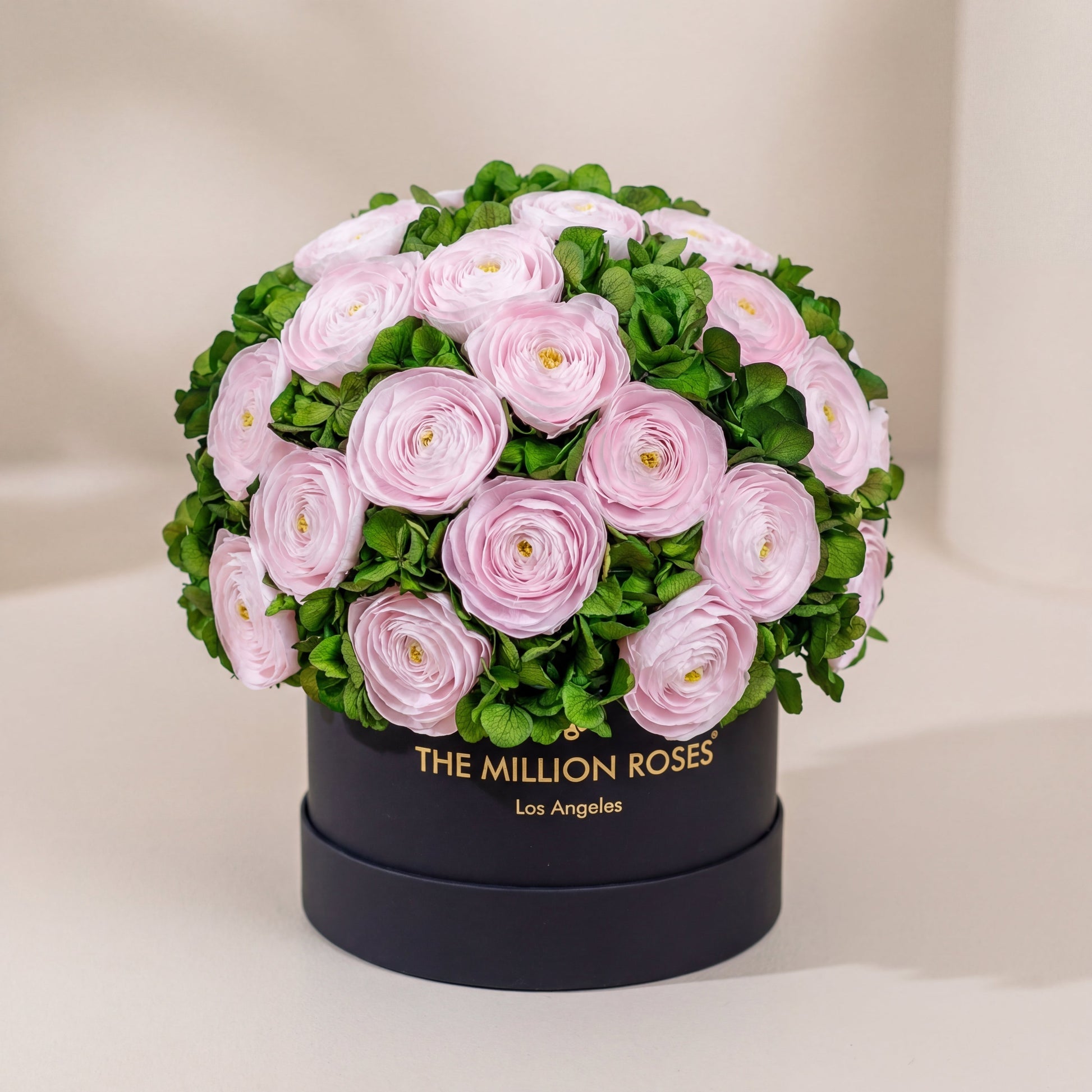 Classic Black Box bouquet with light pink Persian buttercups and green hydrangeas on Tampa Home & Garden Store