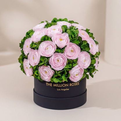 Classic Black Box bouquet with light pink Persian buttercups and green hydrangeas on Tampa Home & Garden Store