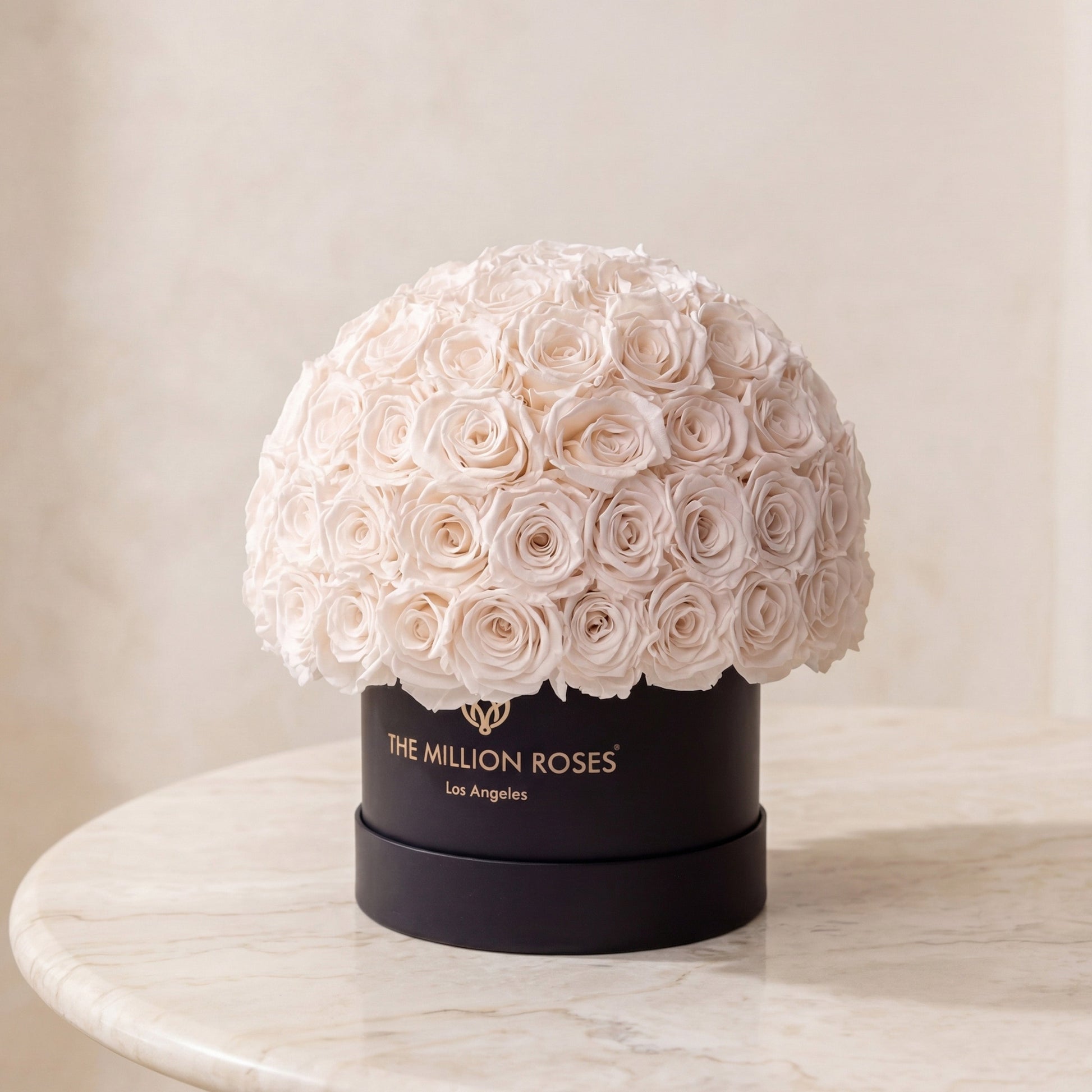 Classic black Superdome box topped with a white rose bouquet The Million Roses on Tampa Home & Garden Store