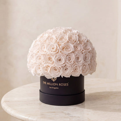 Classic black Superdome box topped with a white rose bouquet The Million Roses on Tampa Home & Garden Store