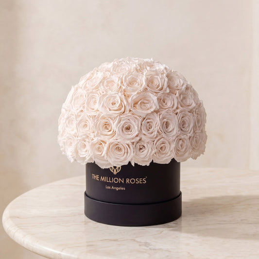 Classic black Superdome box topped with a white rose bouquet The Million Roses on Tampa Home & Garden Store