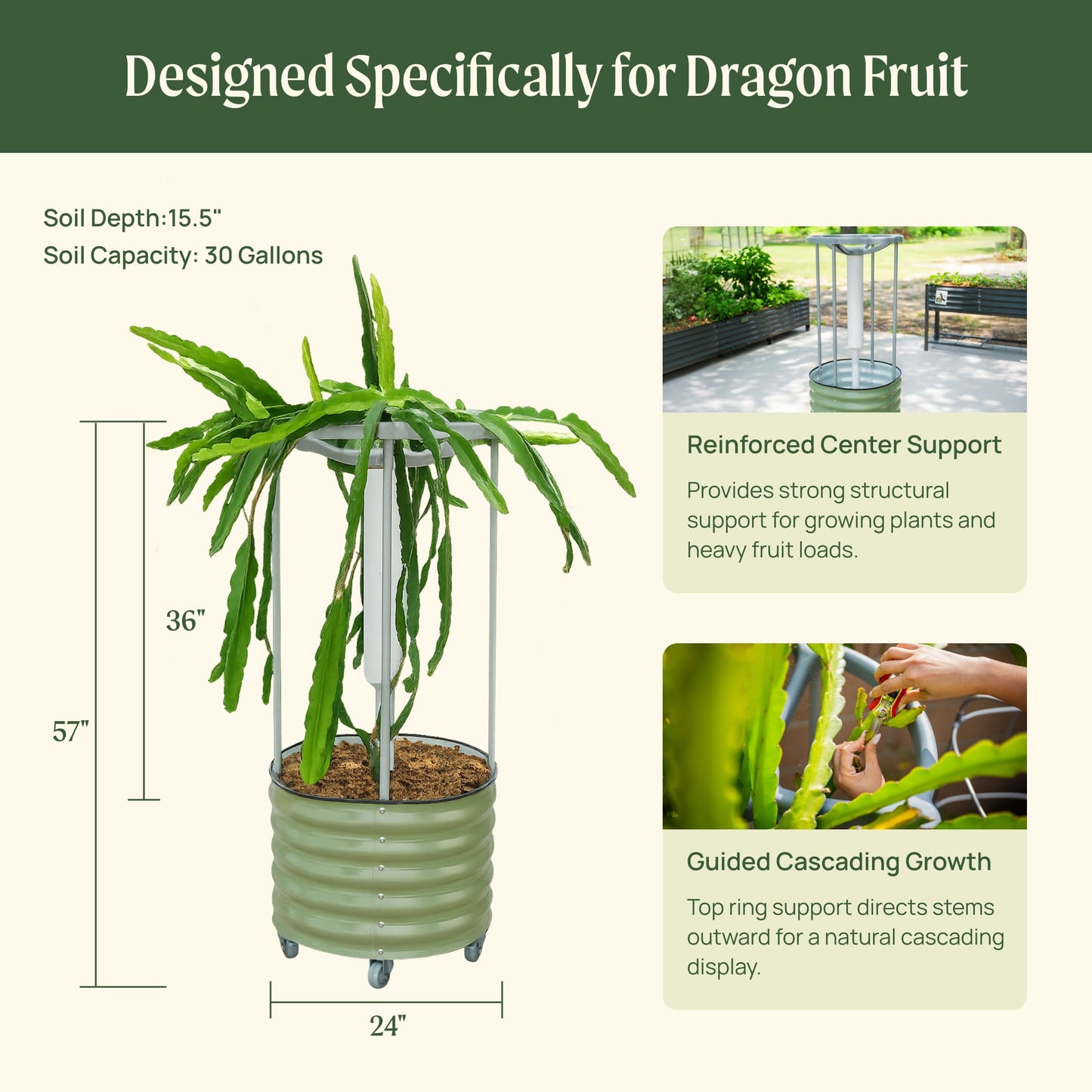 Classic Rolling Dragon Fruit Planter Gen 2 by Vego Garden, green metal planter on wheels on Tampa Home & Garden Store