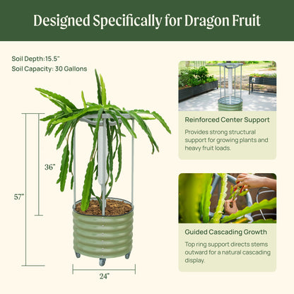 Classic Rolling Dragon Fruit Planter Gen 2 by Vego Garden, green metal planter on wheels on Tampa Home & Garden Store