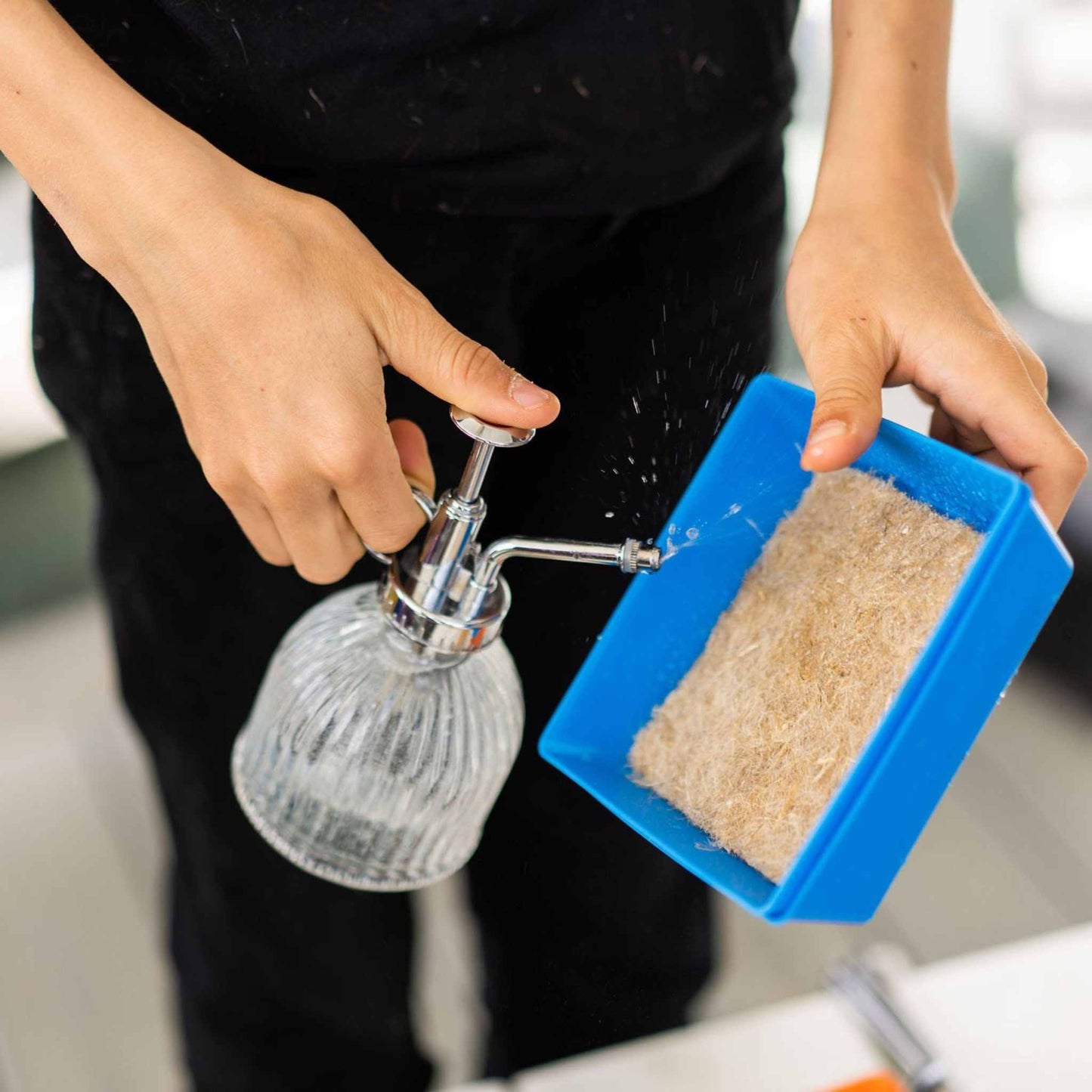Classroom Microgreens Bundle - Tampa soil911.com
