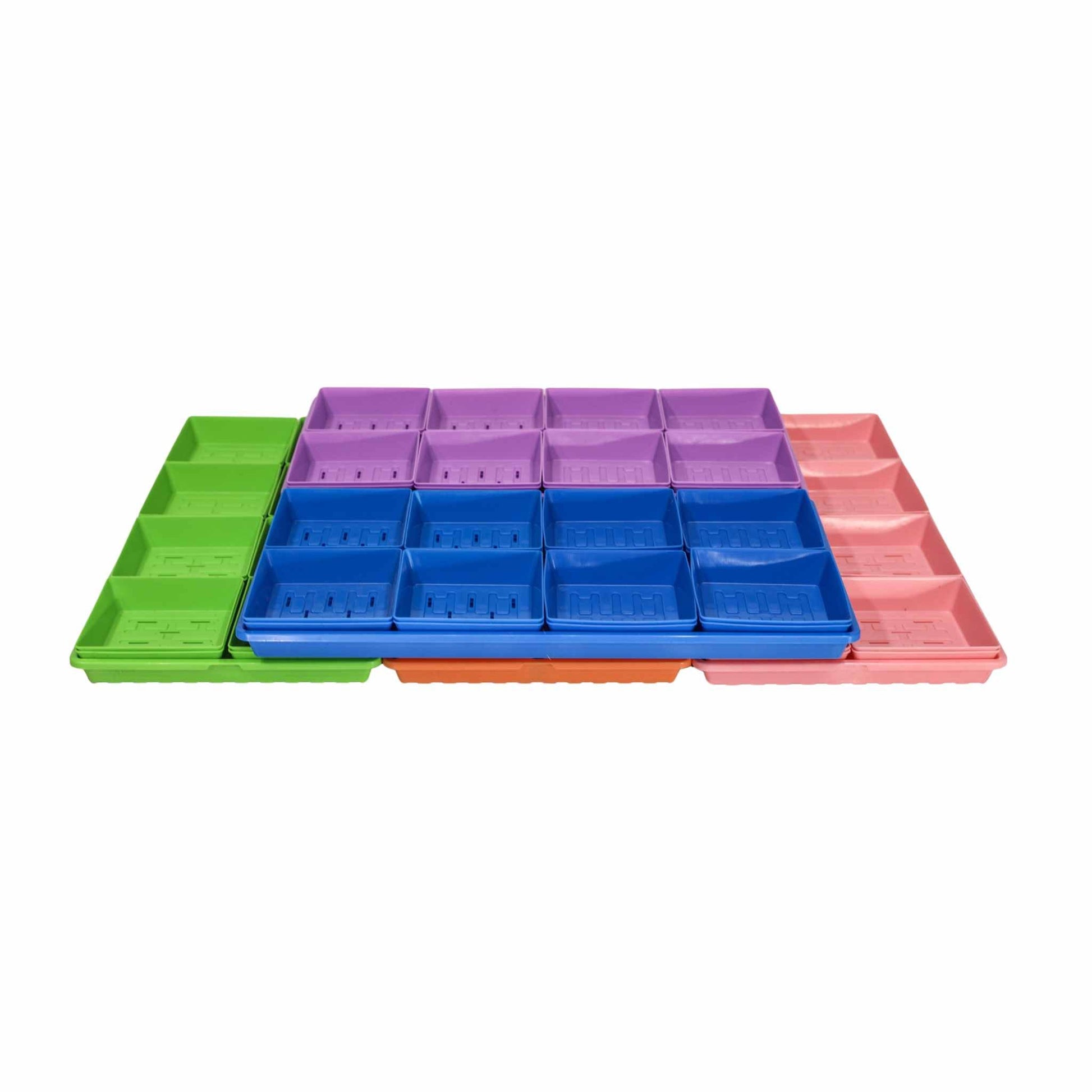 Classroom Microgreens Bundle - Tampa soil911.com