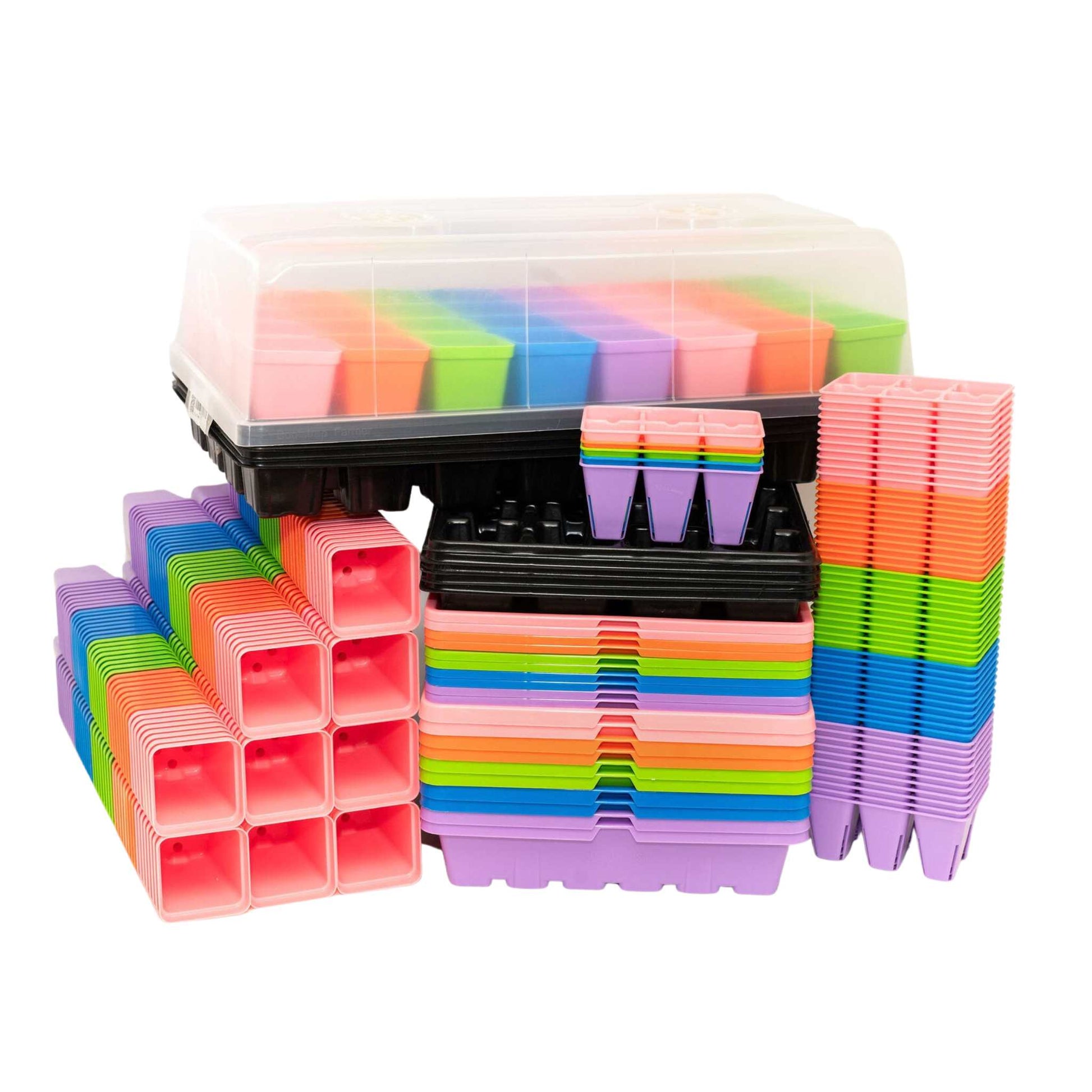 Classroom Seed Starting Bundle - Tampa soil911.com