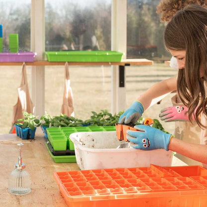 Classroom Seed Starting Bundle - Tampa soil911.com