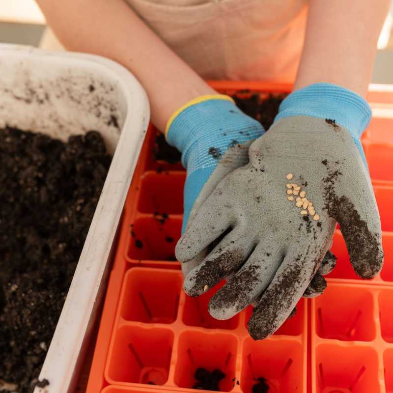 Classroom Seed Starting Bundle - Tampa soil911.com