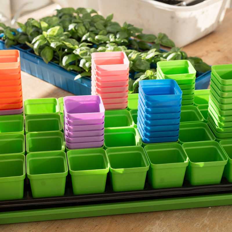 Classroom Seed Starting Bundle - Tampa soil911.com