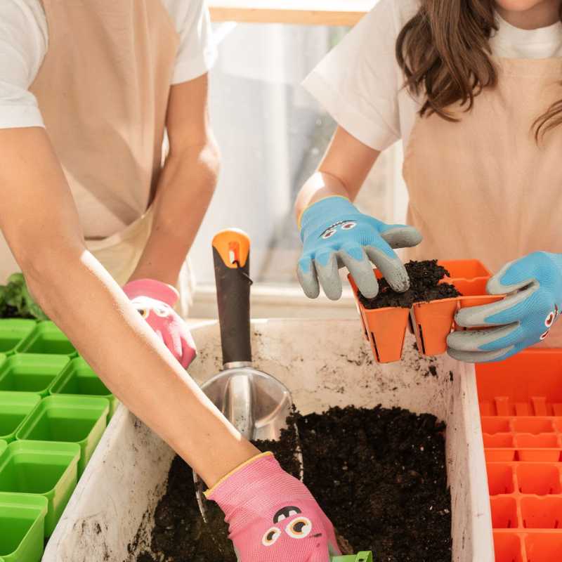 Classroom Seed Starting Bundle - Tampa soil911.com