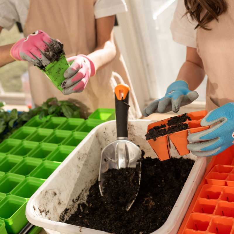 Classroom Seed Starting Bundle - Tampa soil911.com