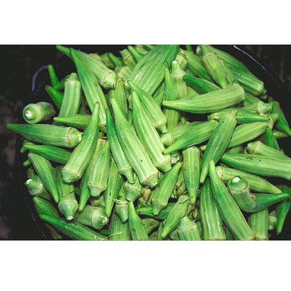 Clemson Spineless 80 Okra Seeds (Organic) - Tampa Home & Garden Store