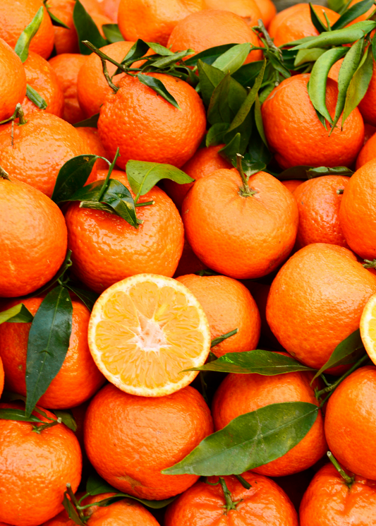 Clementine Tree (Citrus reticulata 'Clementine')