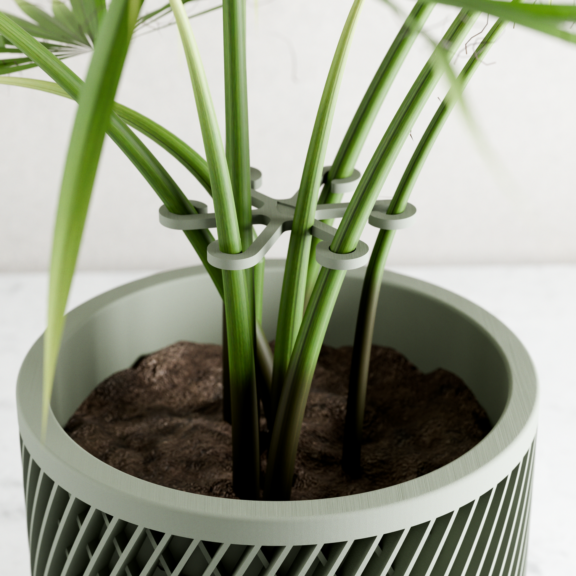Climbing Plant Stem Support Stakes - Tampa Home & Garden Store