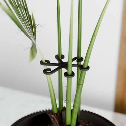 Climbing Plant Stem Support Stakes - Tampa Home & Garden Store