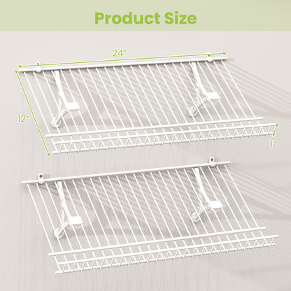 Closet Shelves Wall Mounted Set of 2 Metal Wire Shoe Racks