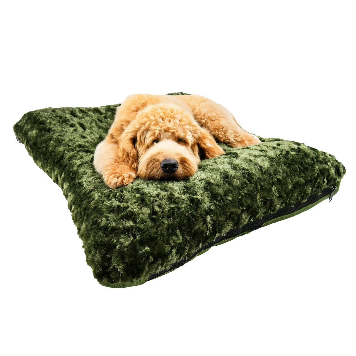 Dog bed American Dog Furvana Cloud rectangle bolstered plush green bed with resting dog on top on Tampa Home & Garden Store