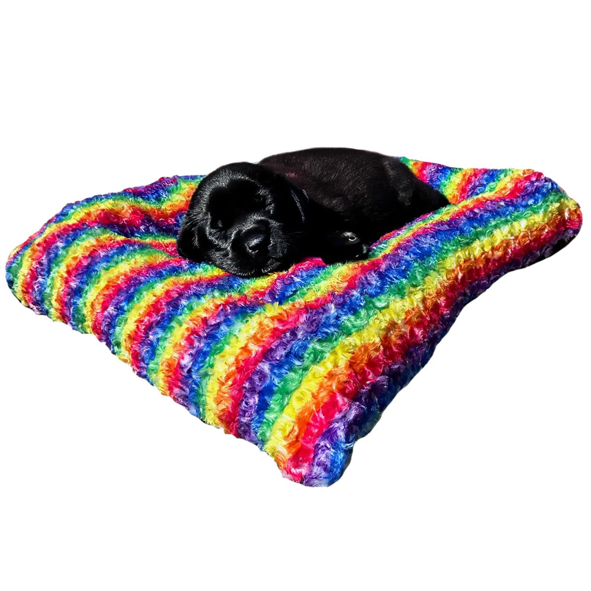 Dog Bed Furvana Cloud rainbow plush bed by American Dog with black puppy on Tampa Home & Garden Store