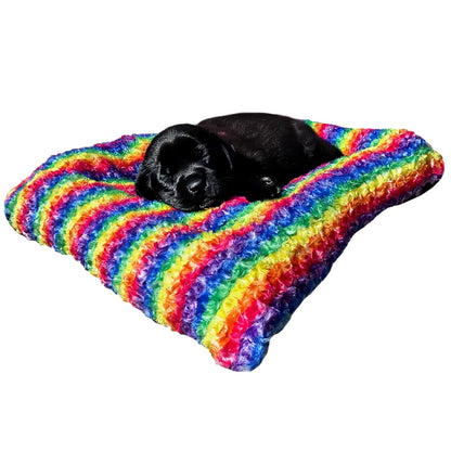 Dog Bed Furvana Cloud rainbow plush bed by American Dog with black puppy on Tampa Home & Garden Store
