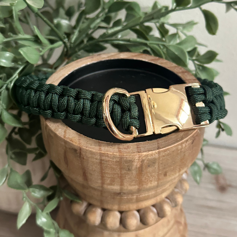 Cobra Braid in Emerald Green - Handmade Dog Collar - Tampa Home & Garden Store