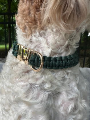 Cobra Braid in Emerald Green - Handmade Dog Collar - Tampa Home & Garden Store