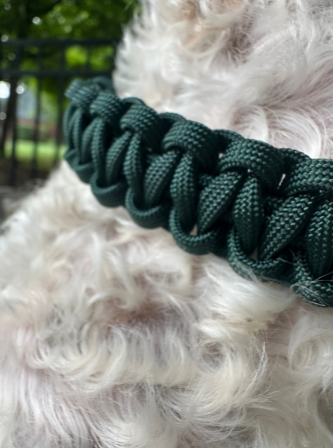 Cobra Braid in Emerald Green - Handmade Dog Collar - Tampa Home & Garden Store