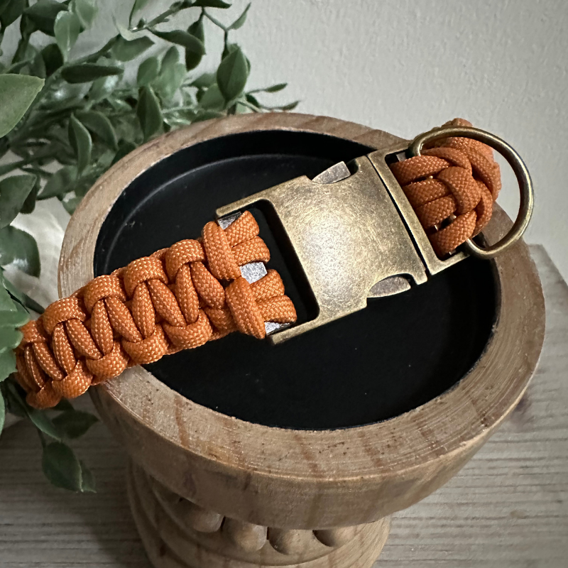 Cobra Braid in Mustard - Handmade Dog Collar - Tampa Home & Garden Store
