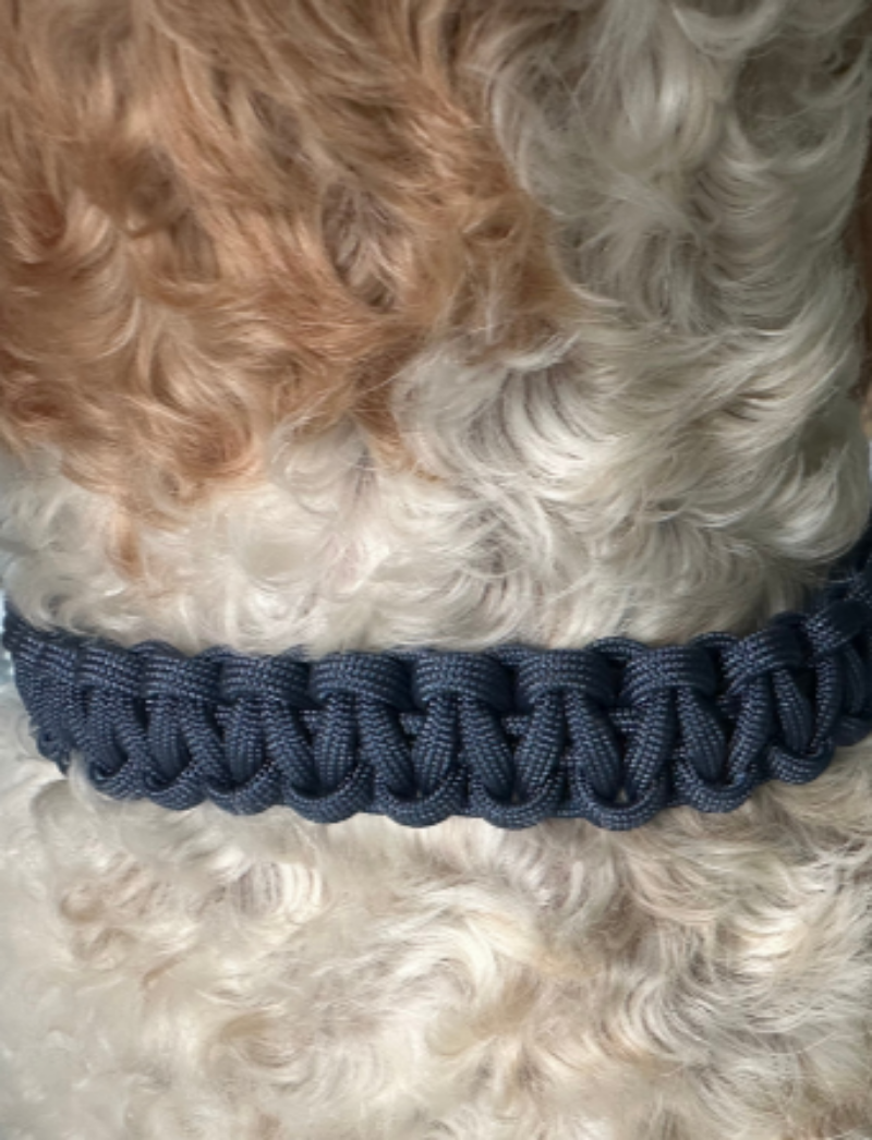 Cobra Braid in Navy Blue - Handmade Dog Collar - Tampa Home & Garden Store