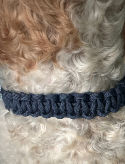 Cobra Braid in Navy Blue - Handmade Dog Collar - Tampa Home & Garden Store