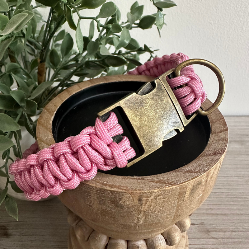 Cobra Braid in Pink & White Stripes - Handmade Dog Collar - Tampa Home & Garden Store