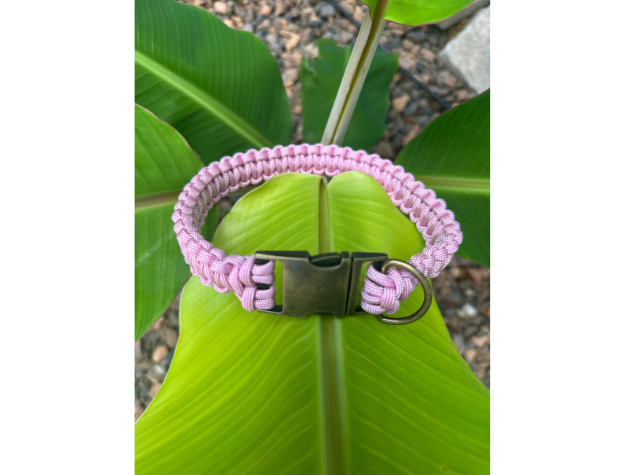 Cobra Braid in Pink & White Stripes - Handmade Dog Collar - Tampa Home & Garden Store