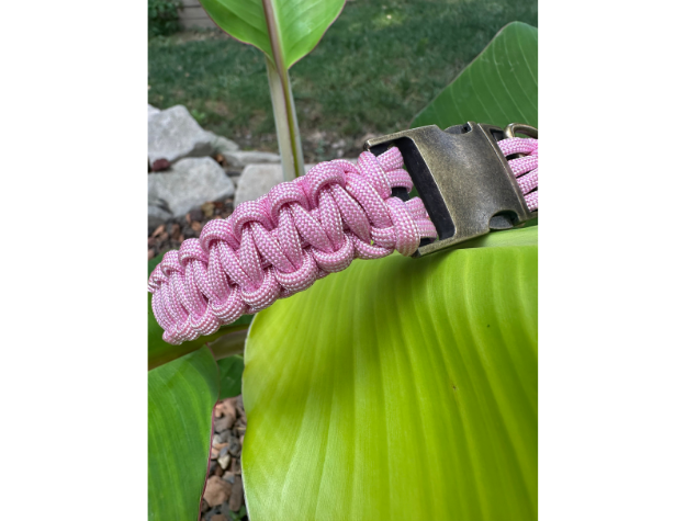 Cobra Braid in Pink & White Stripes - Handmade Dog Collar - Tampa Home & Garden Store