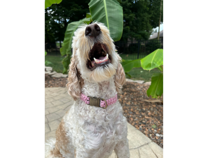 Cobra Braid in Pink & White Stripes - Handmade Dog Collar - Tampa Home & Garden Store
