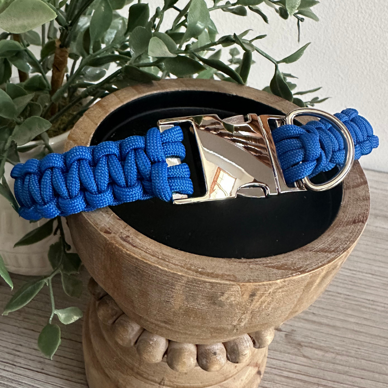 Cobra Braid in Royal Blue - Handmade Dog Collar - Tampa Home & Garden Store