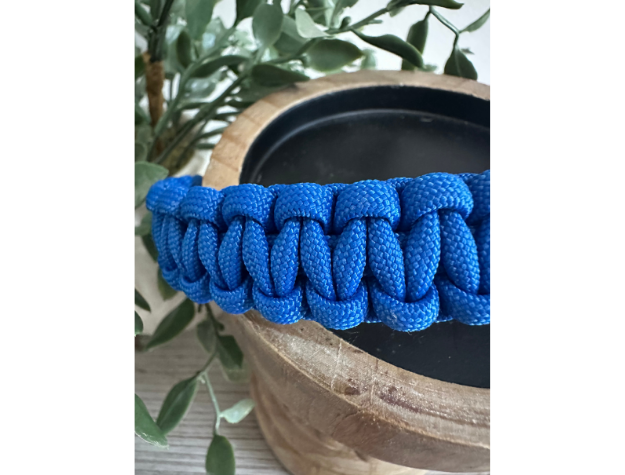 Cobra Braid in Royal Blue - Handmade Dog Collar - Tampa Home & Garden Store