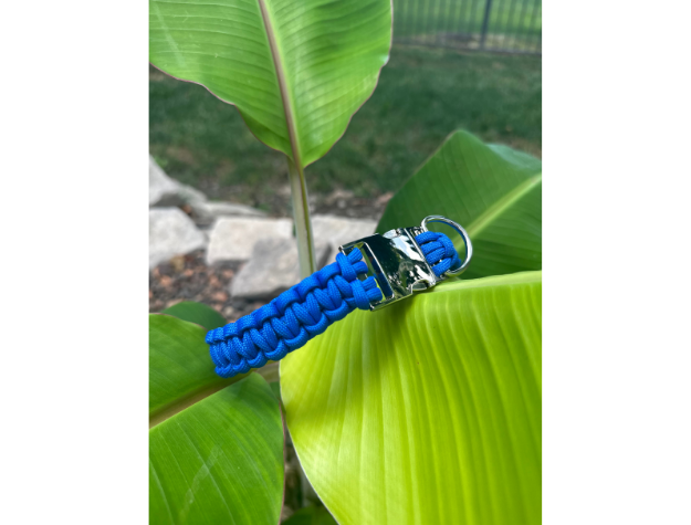 Cobra Braid in Royal Blue - Handmade Dog Collar - Tampa Home & Garden Store