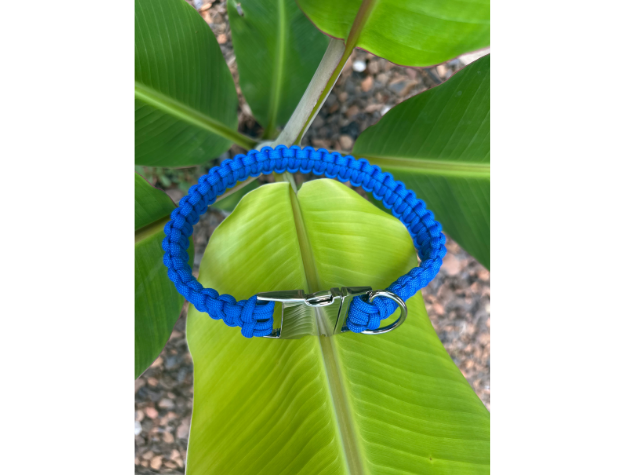 Cobra Braid in Royal Blue - Handmade Dog Collar - Tampa Home & Garden Store