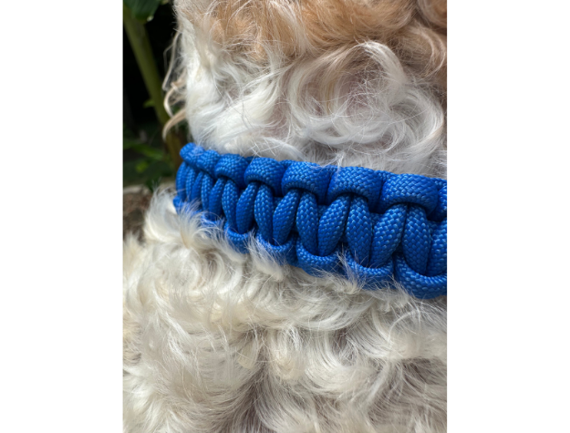 Cobra Braid in Royal Blue - Handmade Dog Collar - Tampa Home & Garden Store