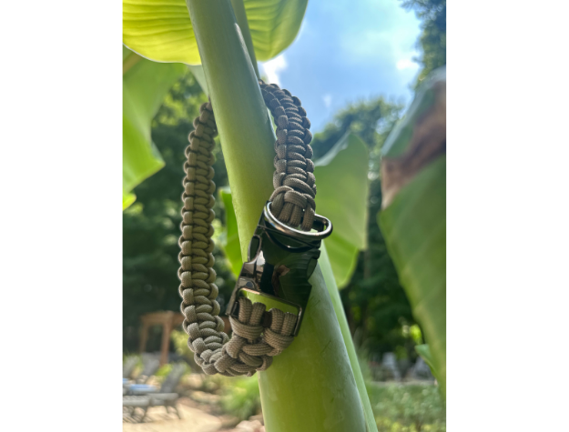 Cobra Braid in Tan - Handmade Dog Collar - Tampa Home & Garden Store